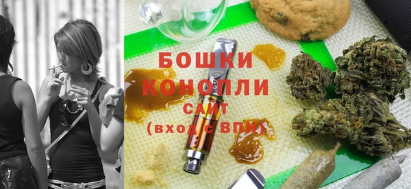 ПСИЛОЦИБИНОВЫЕ ГРИБЫ Баксан
