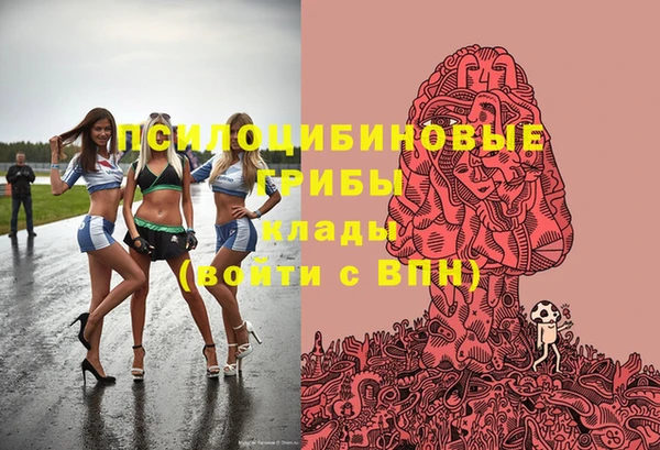 ПСИЛОЦИБИНОВЫЕ ГРИБЫ Баксан
